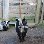 こはる蔵 - 外観