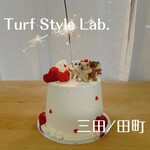 Turf Style Lab. - 