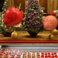 スプレンディード - 