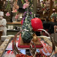 スプレンディード - 