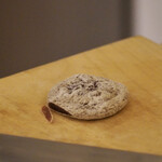 ペレグリーノ - 