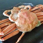 初音 - メイン写真: