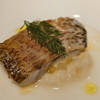 エルルカン・ビス - 