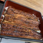 Unagi Saitaniya - 