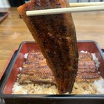 Unagi Saitaniya - 