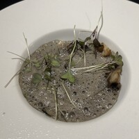 Élan - 