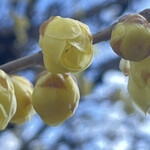 焼きもの家 慶 - 