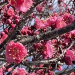 焼きもの家 慶 - 