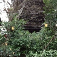 イル ギオットーネ 京都本店 - 