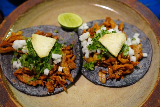 覇王樹 （サボテン） - 四ツ橋/メキシコ料理 | 食べログ