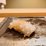 Sushi Ryuuma - 白イカ