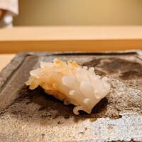 鮨 龍馬 - 白イカ