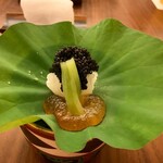 日本料理 晴山 - 