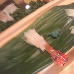 豊寿司 - ボタンエビ