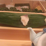 豊寿司 - 北寄貝