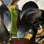 サカナバル - ムール貝のバイマックル蒸し