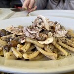 Pizzeria Bakka M'unica - 本日のシェフのおすすめパスタ…キノコのクリームパスタ