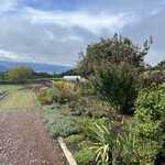 ヴィラデスト ガーデンファーム アンド ワイナリー - 