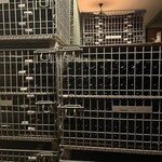 ヴィラデスト ガーデンファーム アンド ワイナリー - 