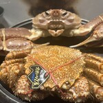 蟹吉WEST - 蟹食べ比べ