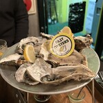 FAST OYSTERS - 