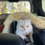 うなぎ亭 友栄 - 