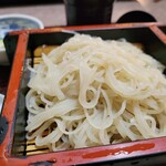 そば処 松涛庵 - 天丼せいろ御膳の更科そば