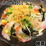 shin-ka511 - 