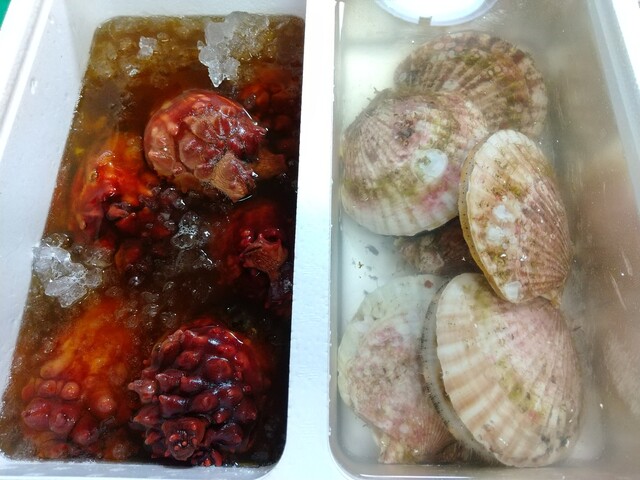 与助（YOSUKE） &ndash; 平田（海鮮） | 釜石市で味わう新鮮海鮮料理