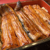 大塚 うなぎ宮川 - 