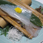 はつしろ - 遠方からお立ち寄りのマイレビュアーさんと烏賊会席を(2013/09)