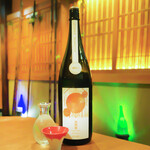 Museigen Nomi Houdai Koshitsu Izakaya Yottekiya - Glass/一人２杯まで・千葉　寒菊