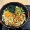 長岡やなぎ庵 - 料理写真:天玉うどん（税込み５８０円）