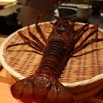 御料理 まつ山 - 