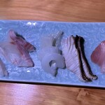 松すし - 地魚の刺身