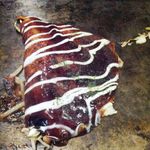 浪花のてっぱん - 洋風焼き