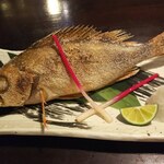 炭火焼 海ごはん サカナヨロコブ - 