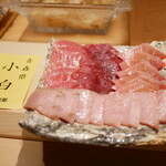 すが弥 - この日の本鮪 2023年6月