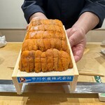 鮨割烹 六本木 亀甲 - 北海道産　天然馬糞ウニ
