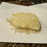 てんぷら 千の種 - 