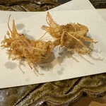 てんぷら 千の種 - 