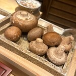 日本橋 蕎ノ字 - マッシュルーム　玉取り茸