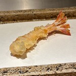 日本橋 蕎ノ字 - 車海老