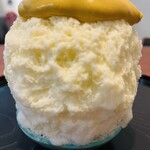 こひる庵 - 味見氷　カボもん　今日は青皿♡