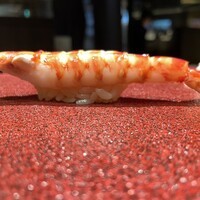 鮨 やまけん 銀座店 - 車エビ