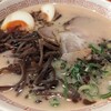 ラーメン　赤組 - 味玉ラーメン(240115)