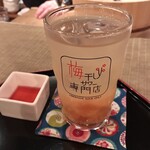 梅干しサワー専門店 - 