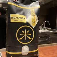 スガラボヴィー - 