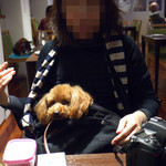 トラットリアチンクエポンテ - ニコルはスリングに入れると落ち着きます(笑)。