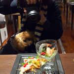 トラットリアチンクエポンテ - 妻、写真に夢中。